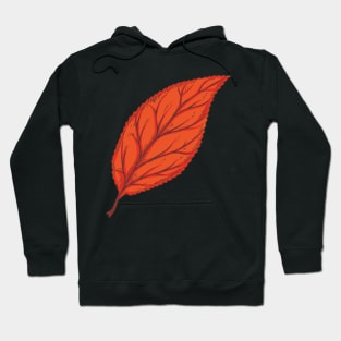 Beech Leaf Hoodie